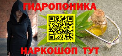 стаф Заводоуковск