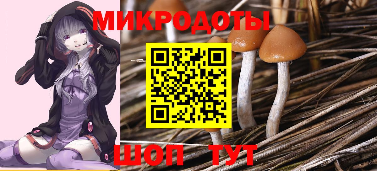 Магадан  Галлюциногенные грибы ЛСД  дарнет шоп  Вход с VPN  Псилоцибиновые грибы ЛСД 