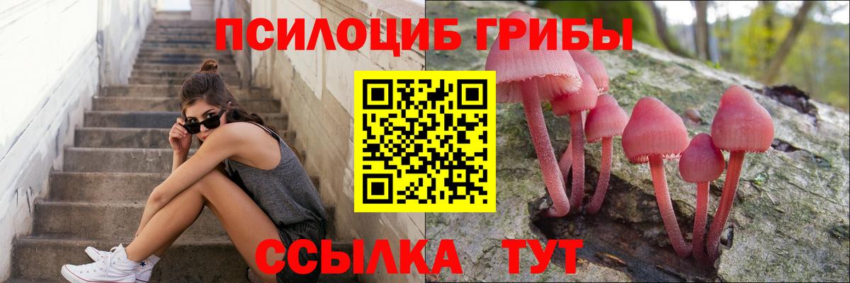 Галлюциногенные грибы Cubensis Магадан